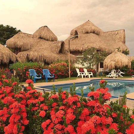Palomino Breeze Hostal מראה חיצוני תמונה