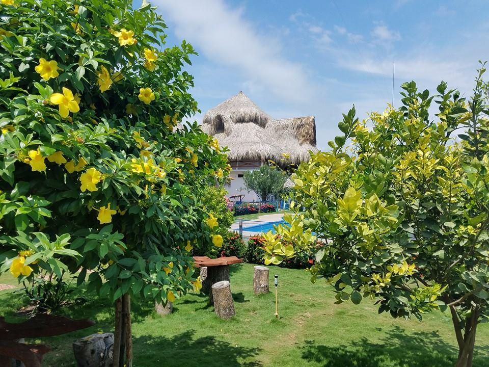 Palomino Breeze Hostal מראה חיצוני תמונה