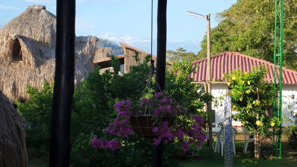 Palomino Breeze Hostal מראה חיצוני תמונה