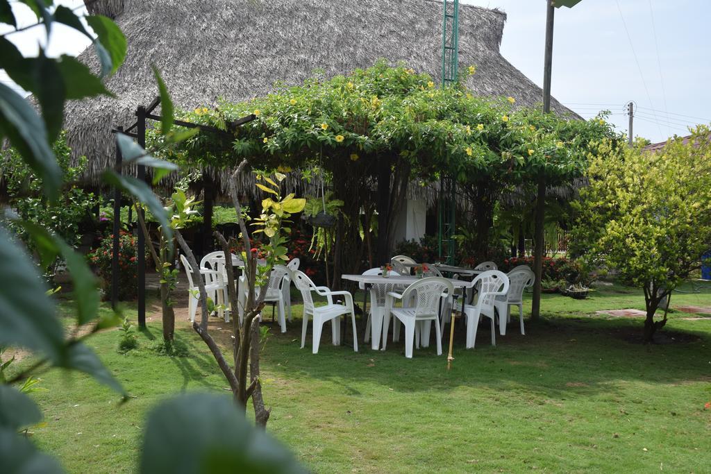 Palomino Breeze Hostal מראה חיצוני תמונה