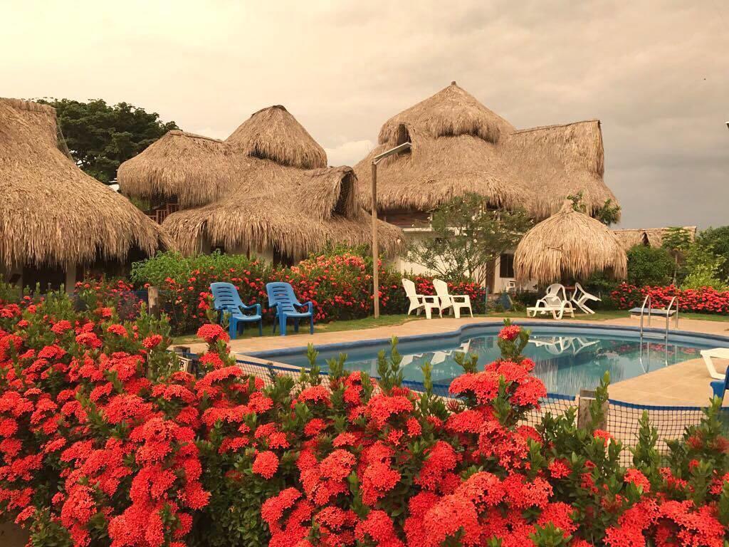 Palomino Breeze Hostal מראה חיצוני תמונה