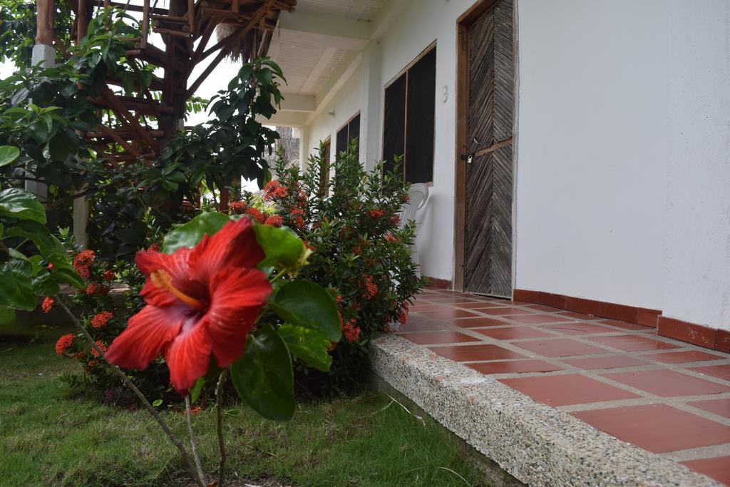 Palomino Breeze Hostal מראה חיצוני תמונה