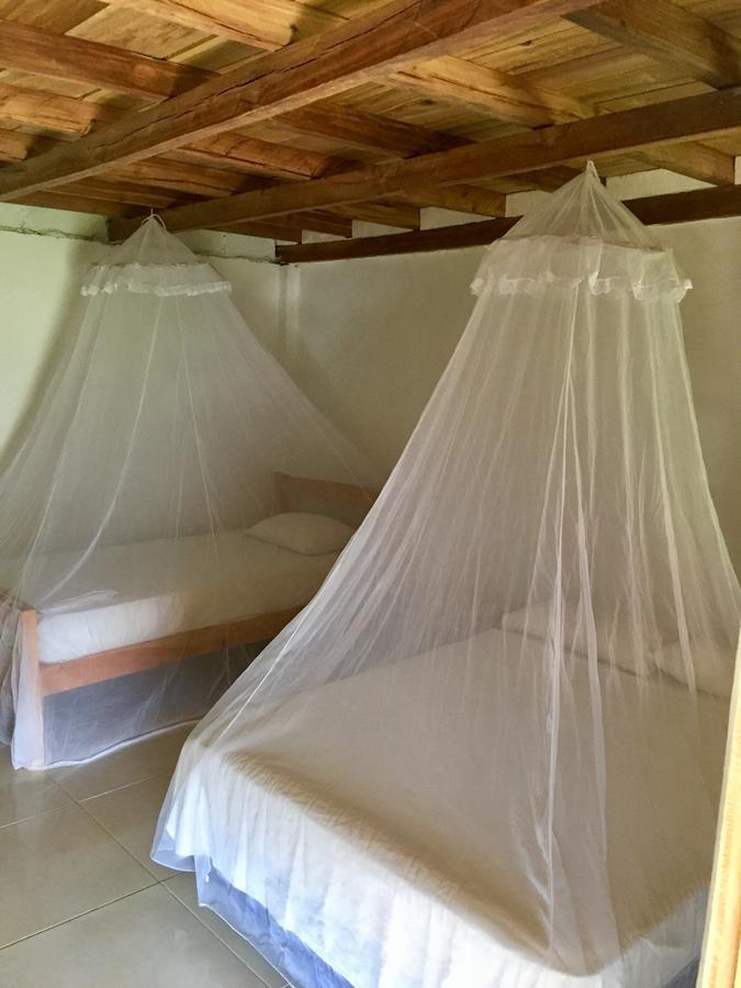 Palomino Breeze Hostal מראה חיצוני תמונה